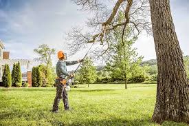  Clute, TX Tree Removal Services Pros